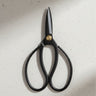 Traditional Bonsai Shears