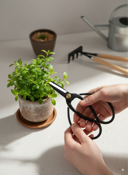 Traditional Bonsai Shears